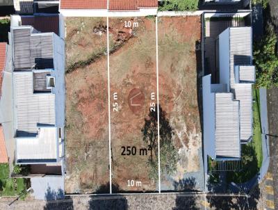 Lote para Venda, em Caldas Novas, bairro Condom�nio Jardim Metodista